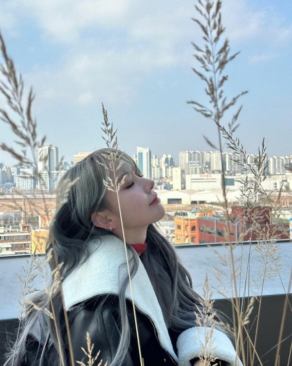 412707360_869862341805672_8513494459788852471_n.jpg 231226 사쿠라 인스타