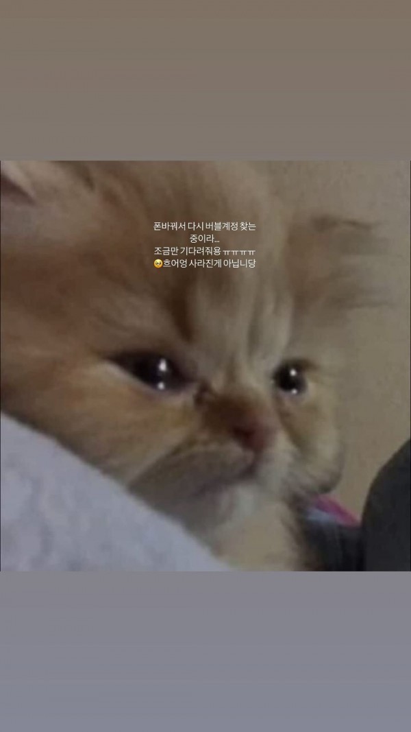 imnotningning_20240526_STORIES_3375867219584830739_6_3376041930906709174.jpg 닝닝 인스스